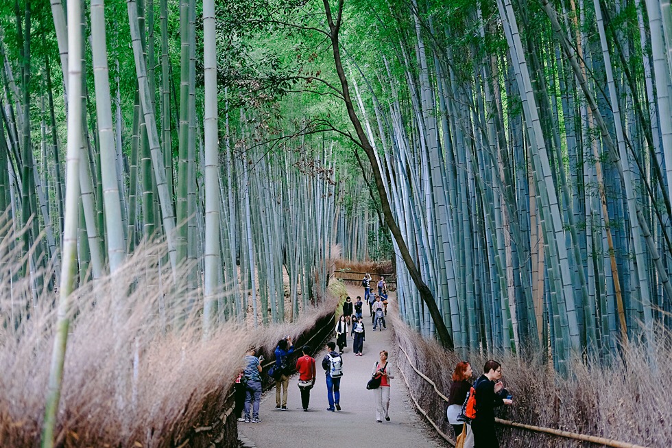 홀로 2박3일 일본 교토 여행사진 72장 (스압주의)_41.jpg