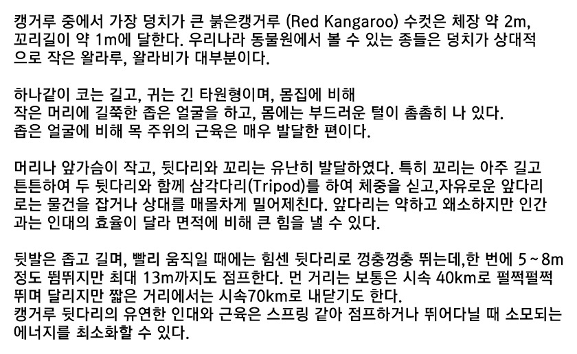 인간은 맨몸으로 붉은 캥거루를 이길수 있을까?_1.jpeg
