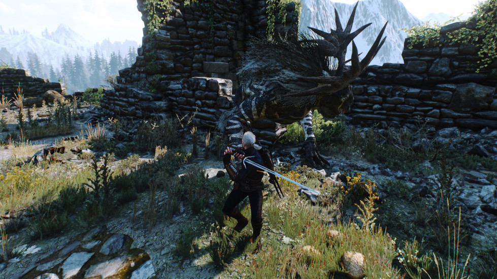 witcher3-2016-11-14-01-11-08-253.jpg