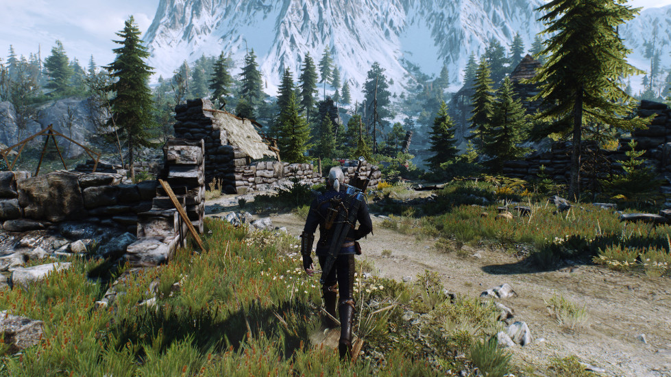 witcher3-2016-11-14-01-16-48-958.jpg