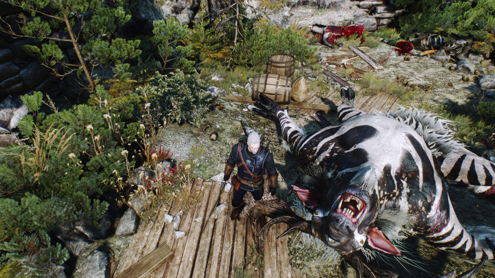 witcher3-2016-11-14-01-20-58-146.jpg