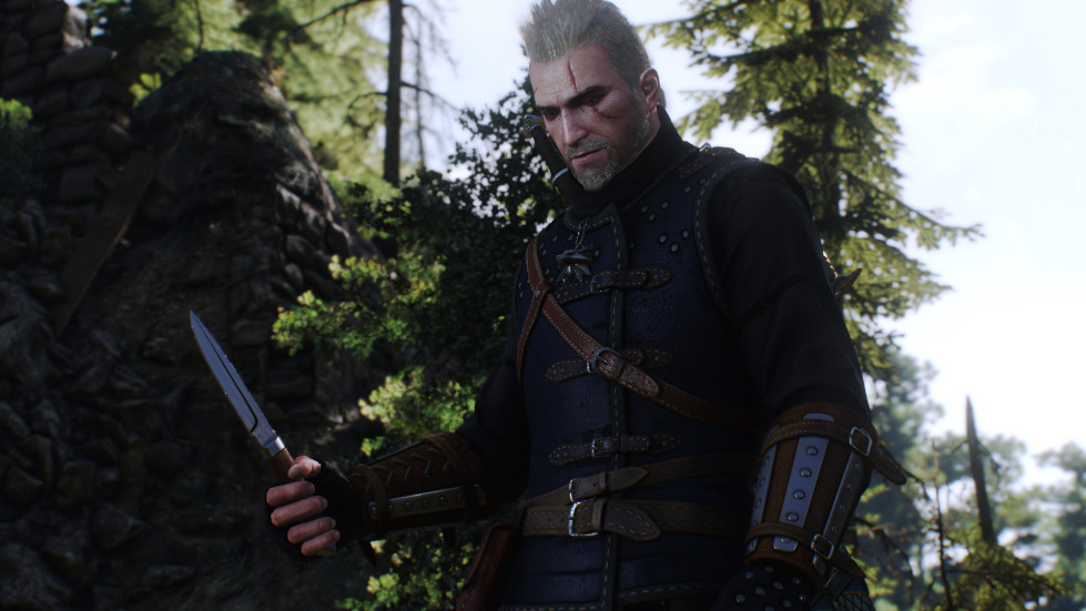 witcher3-2016-11-14-01-21-54-950.jpg