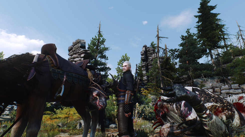 witcher3-2016-11-14-01-22-51-654.jpg