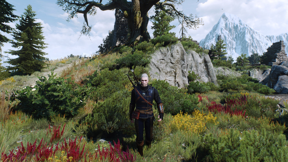 witcher3-2016-11-14-01-26-19-389.jpg