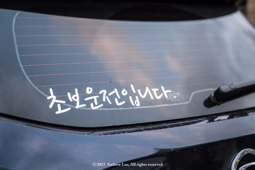 헤이리 모델 출사 (사진 다수)_37.jpg