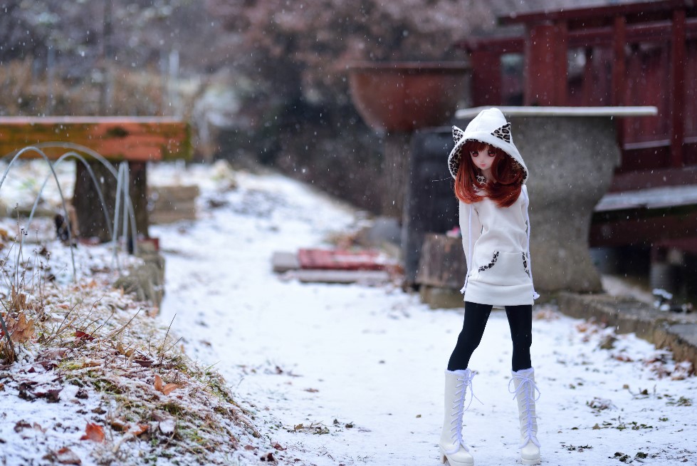 올해의 첫눈 그리고 출사_4.jpg