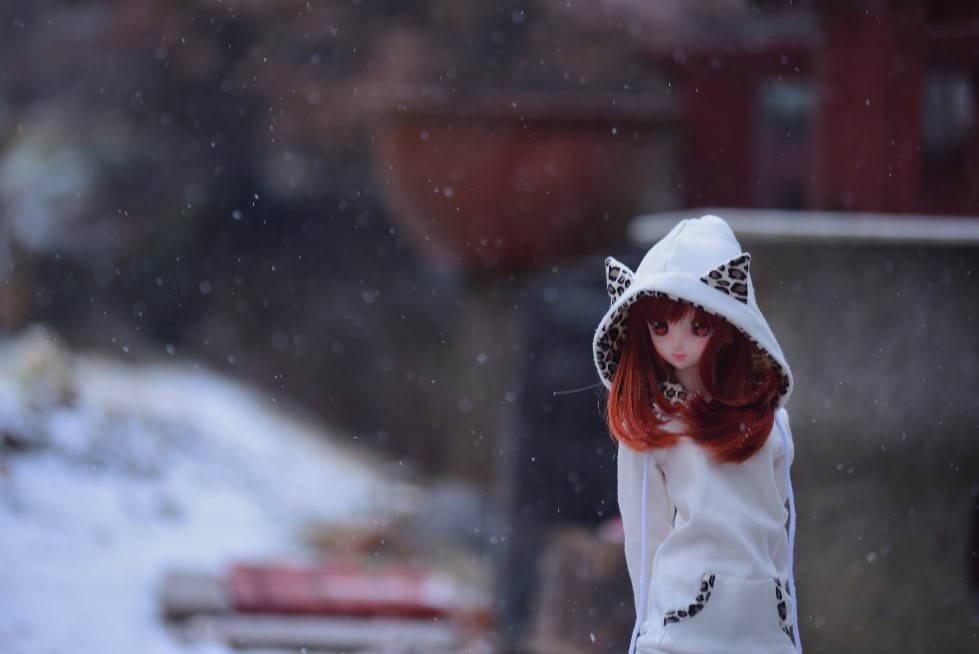 올해의 첫눈 그리고 출사_5.jpg