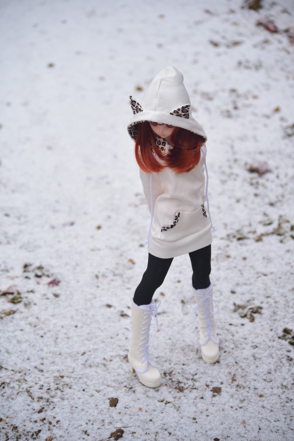 올해의 첫눈 그리고 출사_6.jpg