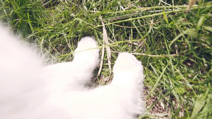 전직의 중요성(스압)_21.jpg