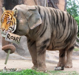 러시아의 호랑이._1.jpg