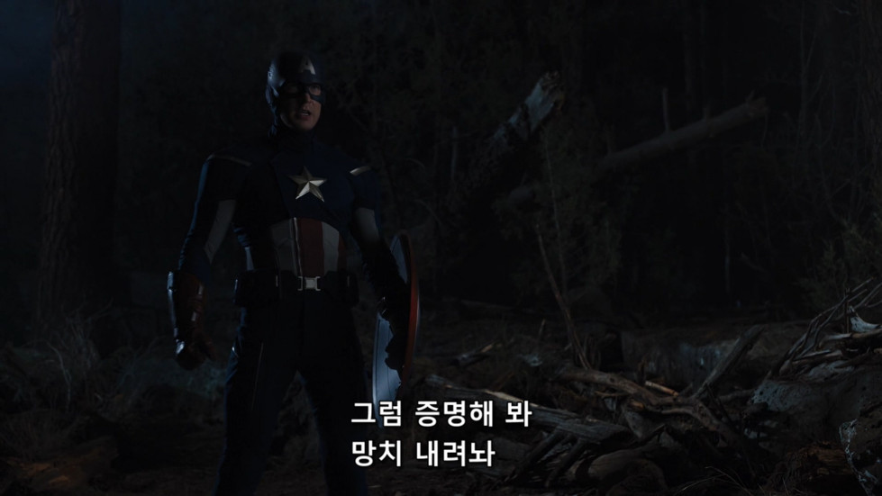 The.Avengers.2012.BluRay.1080p.x264.DD5.1-Alicia.mkv_20161202_013208.380.jpg