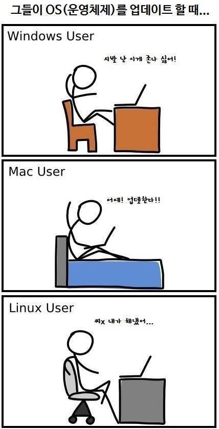 OS별 업데이트 반응_1.jpg