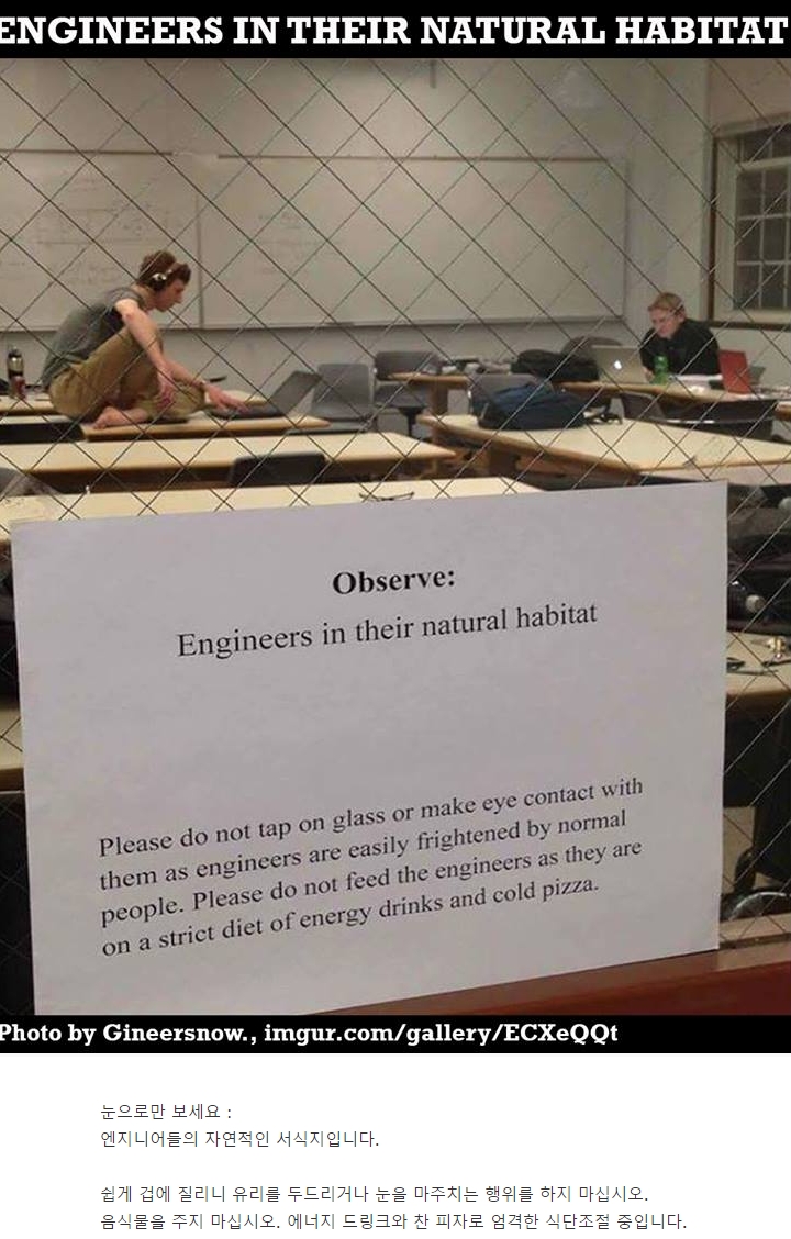 눈으로만 보세요.jpg_1.jpg