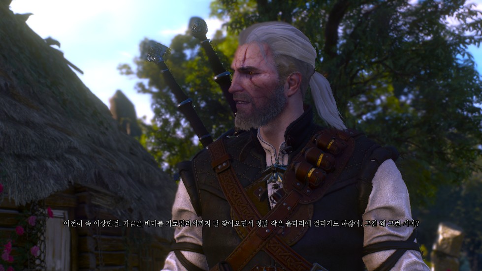 The Witcher 3 2016.12.10 - 15.26.24.05.png