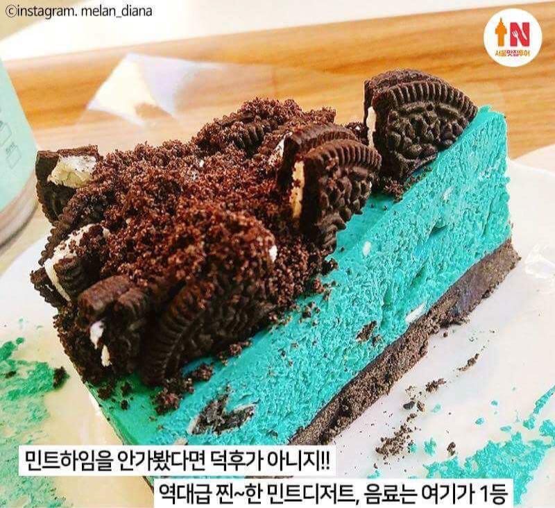 민트다 민트_1.jpg