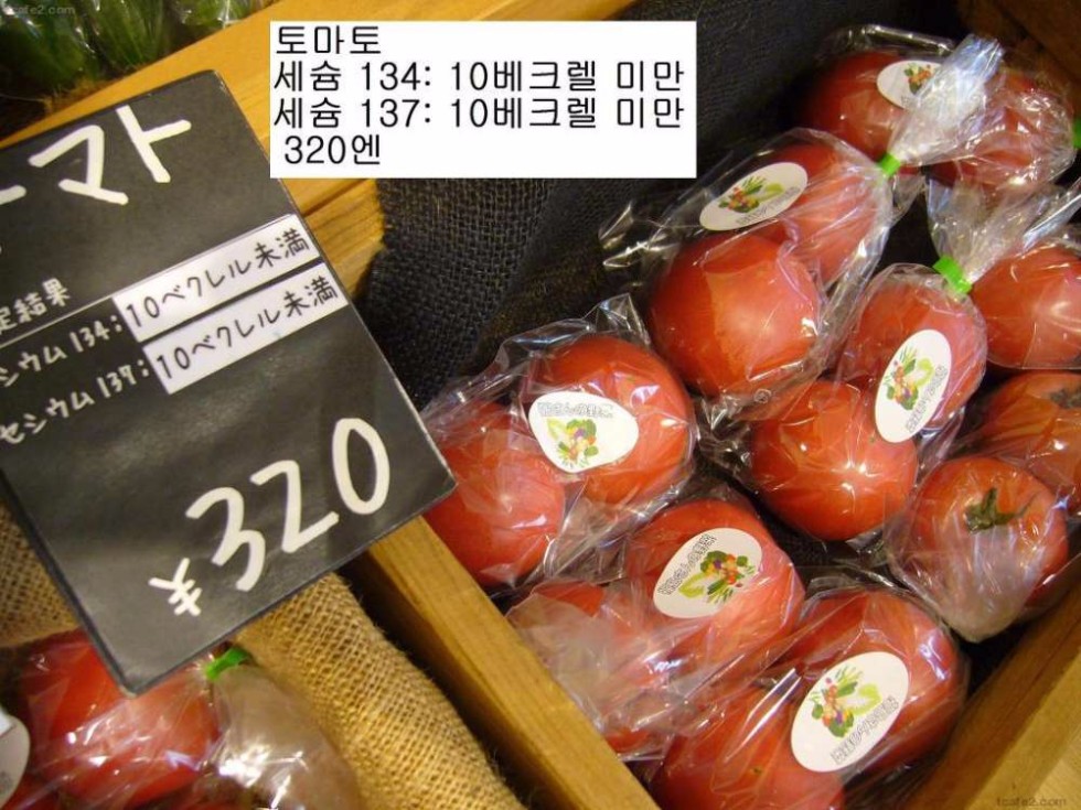 일본 청과류 가게 현황.jpg_3.jpg