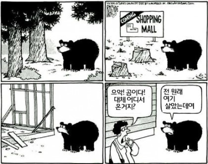 곰이 나타났다.jpg_1.jpg