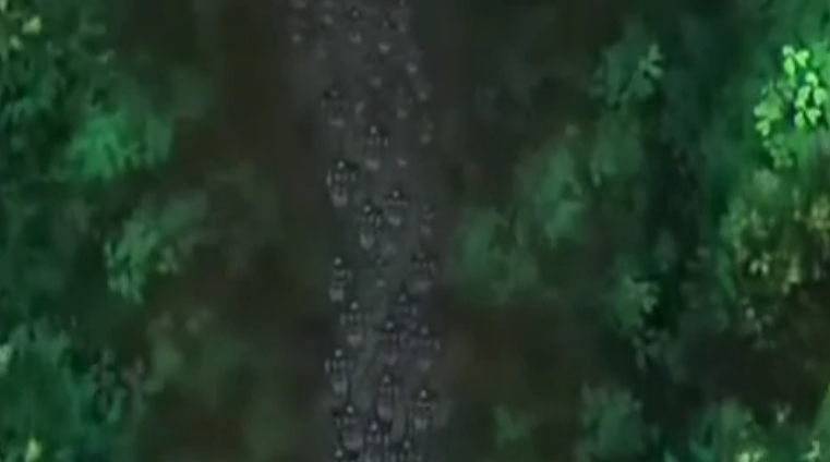 [EBS 삼국지] 진정한 최고의 등산왕 '등애'_25.jpg