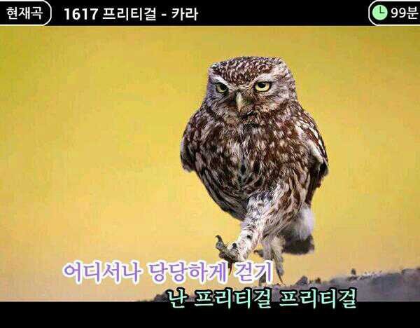 요즘 노래방 영상 수준.jpg_2.jpg