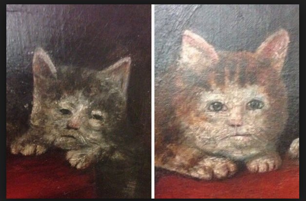 고양이를 어떻게 그려야할 지 모르겠다.jpg_1.jpg