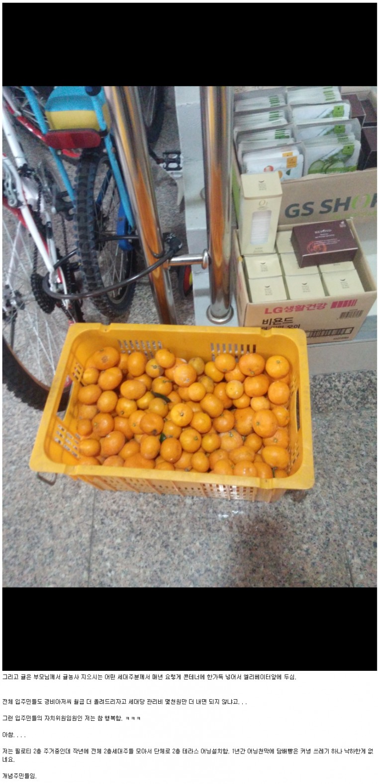 반도의 흔하지 않은 아파트 주민들.jpg_2.jpg