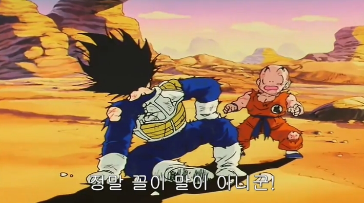 [드래곤볼] 네놈들의 묘 말이냐?!_57.jpg