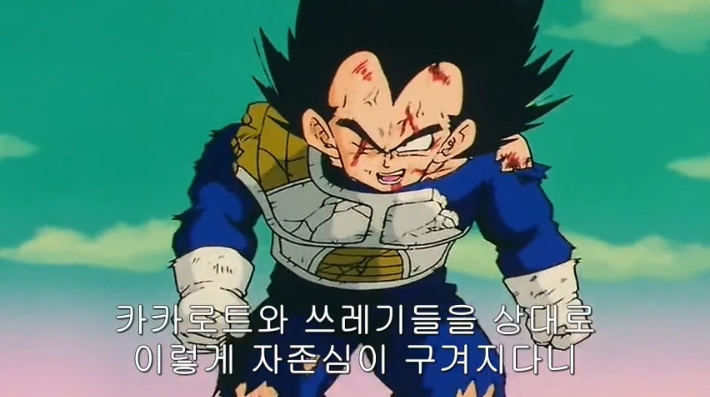 [드래곤볼] 네놈들의 묘 말이냐?!_64.jpg