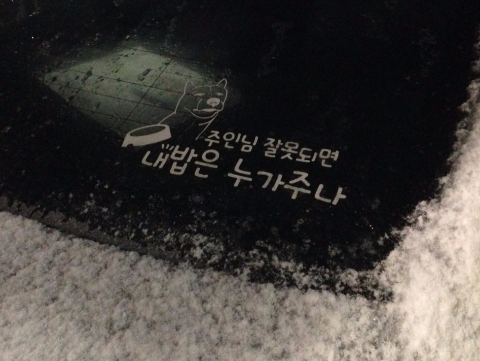 까칠한 아이가 타고 있어요 의 대항마_1.jpg