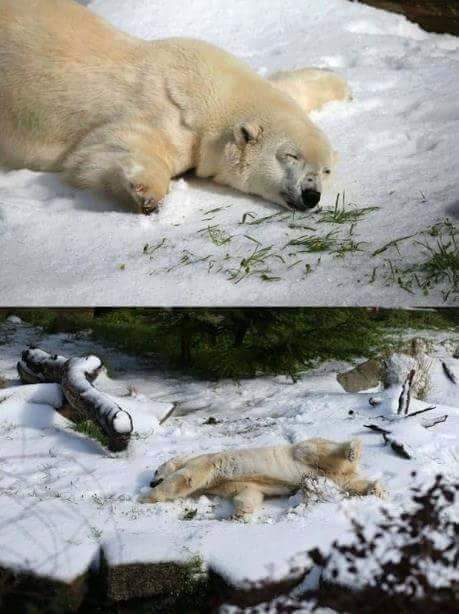 루리웹의 문인들_7.jpg