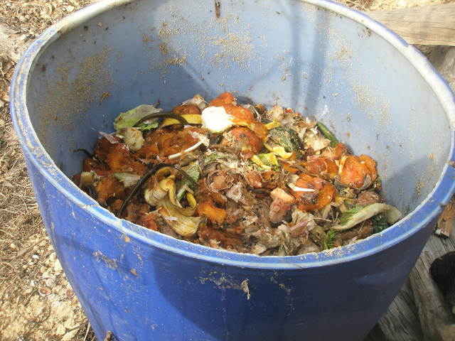 오늘 취사병들 일과.jpg_15.jpg