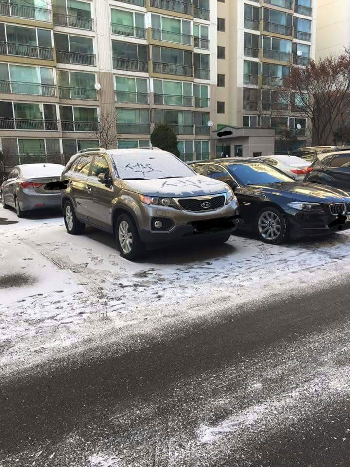 섹무새가 머문 자리.jpg_2.jpg