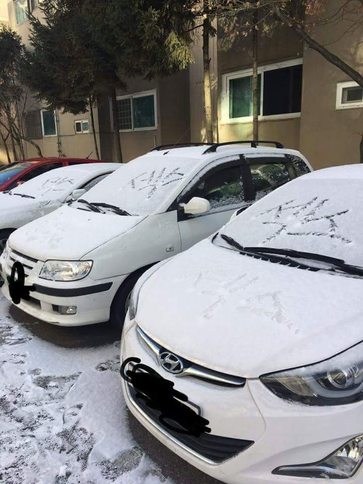 섹무새가 머문 자리.jpg_3.jpg