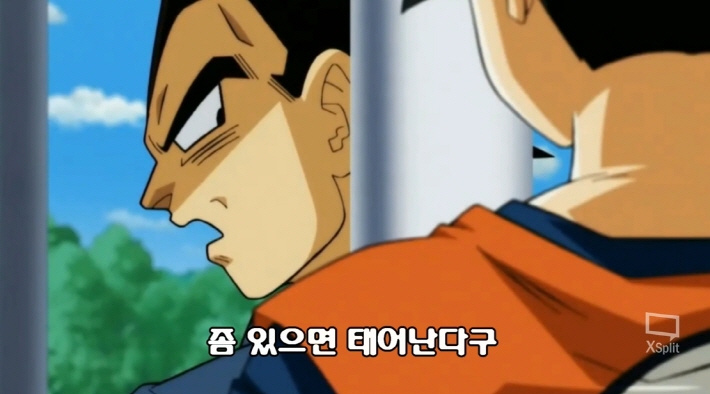 [드래곤볼 슈퍼] 네가 낳는거도 아니니 같이 싸우자!_3.jpg