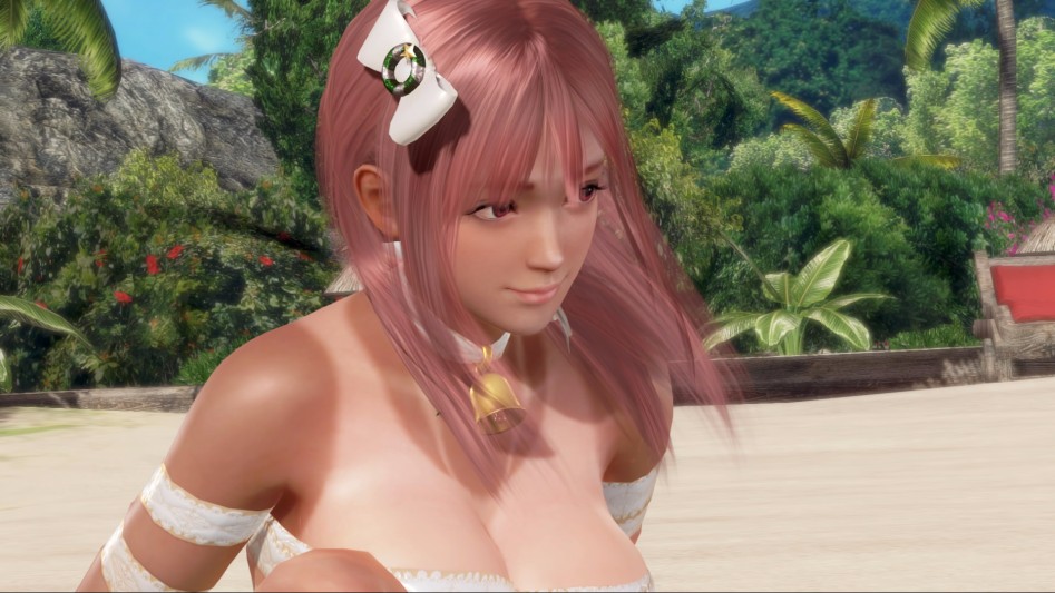 DEAD OR ALIVE Xtreme 3 Fortune170209__4.jpeg