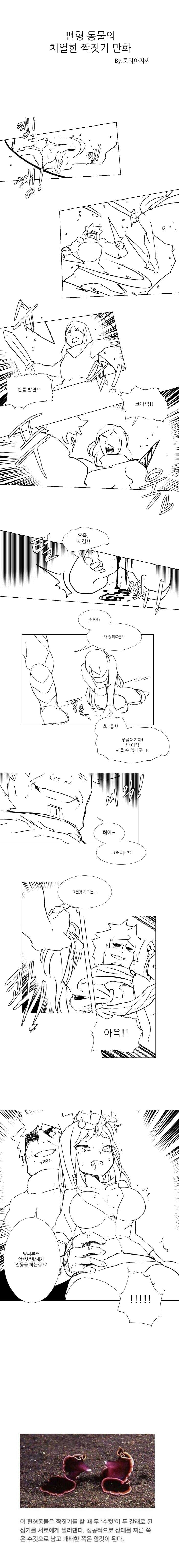 (후방주의) 편형동물의 치열한 짝짓기 만화_1.jpg