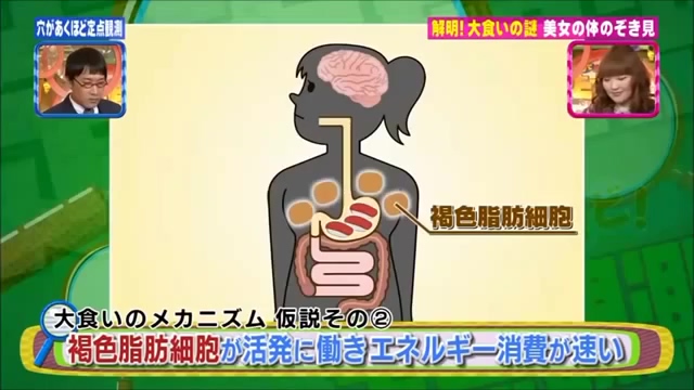 대식가의 메커니즘 규명.jpg_21.jpg