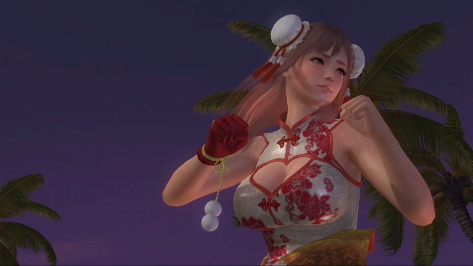 DEAD OR ALIVE 5 Last Round_20170221180759.png
