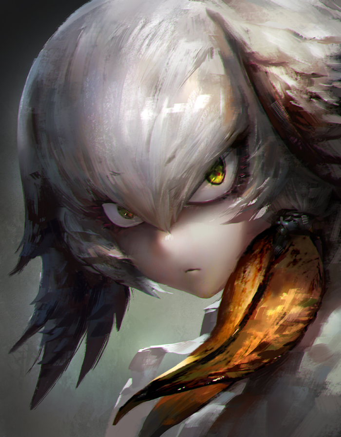 케모노프렌즈)스압) 삼백안의 매력에 대해서 araboza_12.jpg