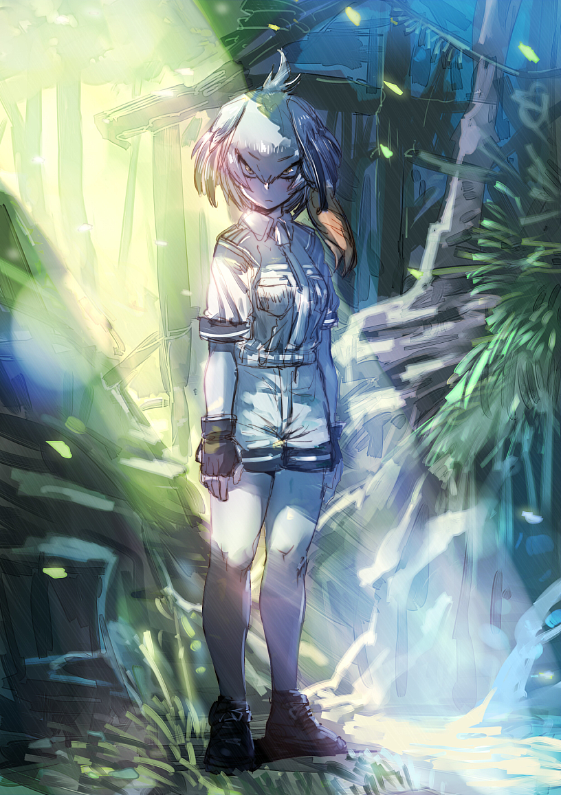 케모노프렌즈)스압) 삼백안의 매력에 대해서 araboza_13.png