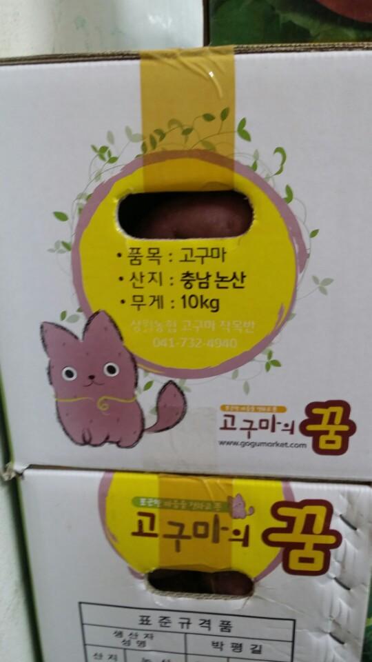 한국산 갓 모에화_1.jpg