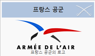 프랑스 공군의 드론 제거 시범._8.png