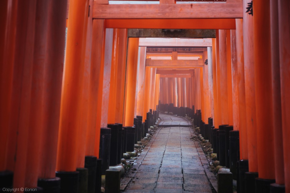 보름간의 일본 사진 15장_3.jpg