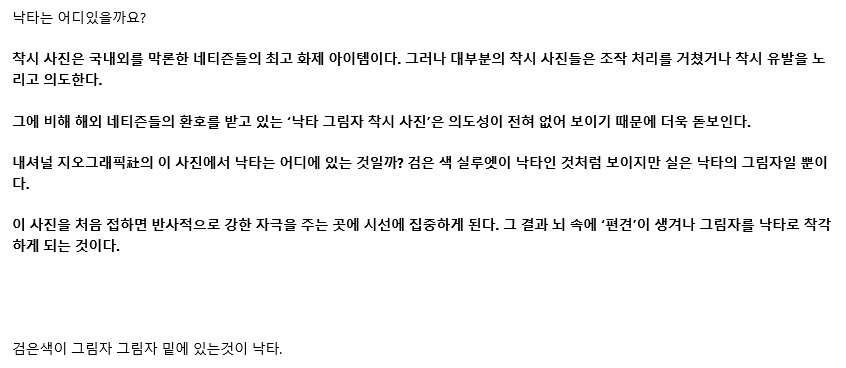 해외 네티즌이 뽑은 최고의 착시장면중 하나.2.jpg