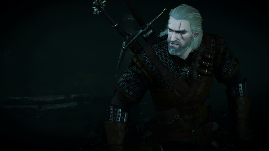 witcher3_2016-06-25_03-57-28-880.png