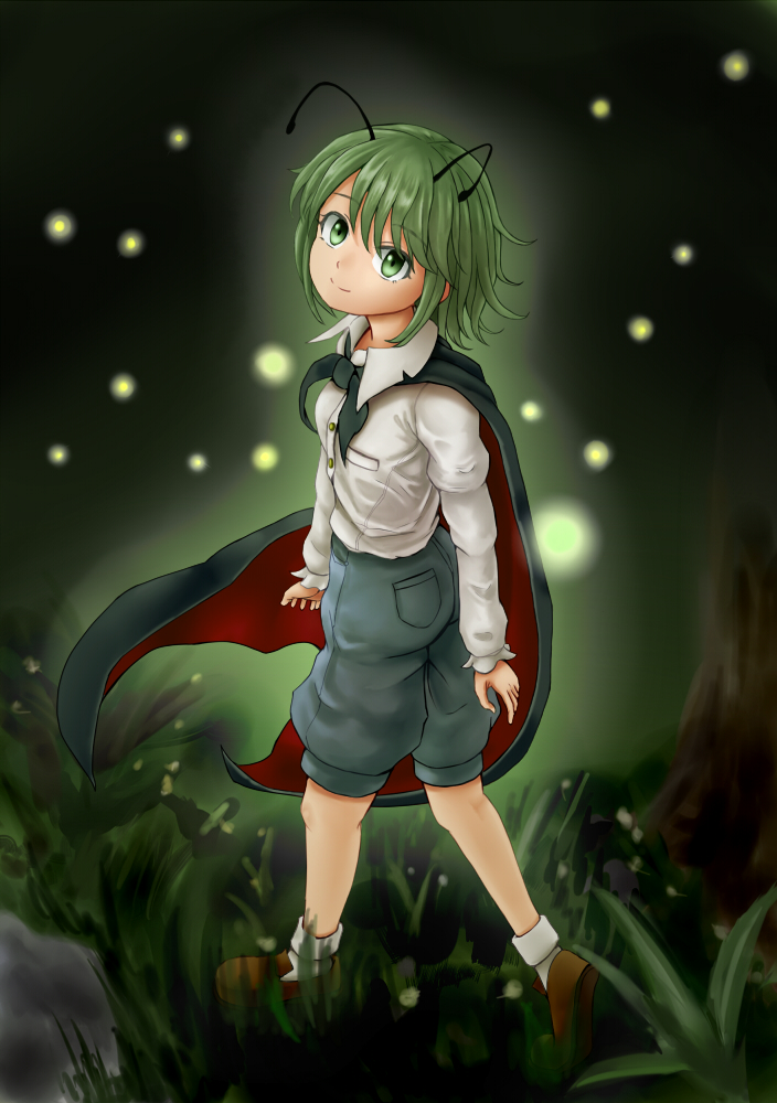 wriggle nightbug (touhou) drawn by fuwatoro (enemy-of-society) - 83eb3531bb05b9a81385d7106539799a.jpg