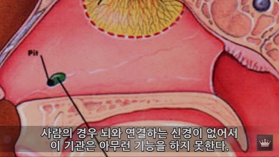 인류의 몸에 남은 10가지 진화의 흔적들12.jpg