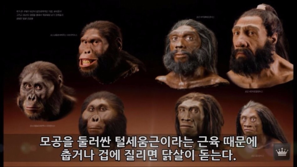 인류의 몸에 남은 10가지 진화의 흔적들20.jpg