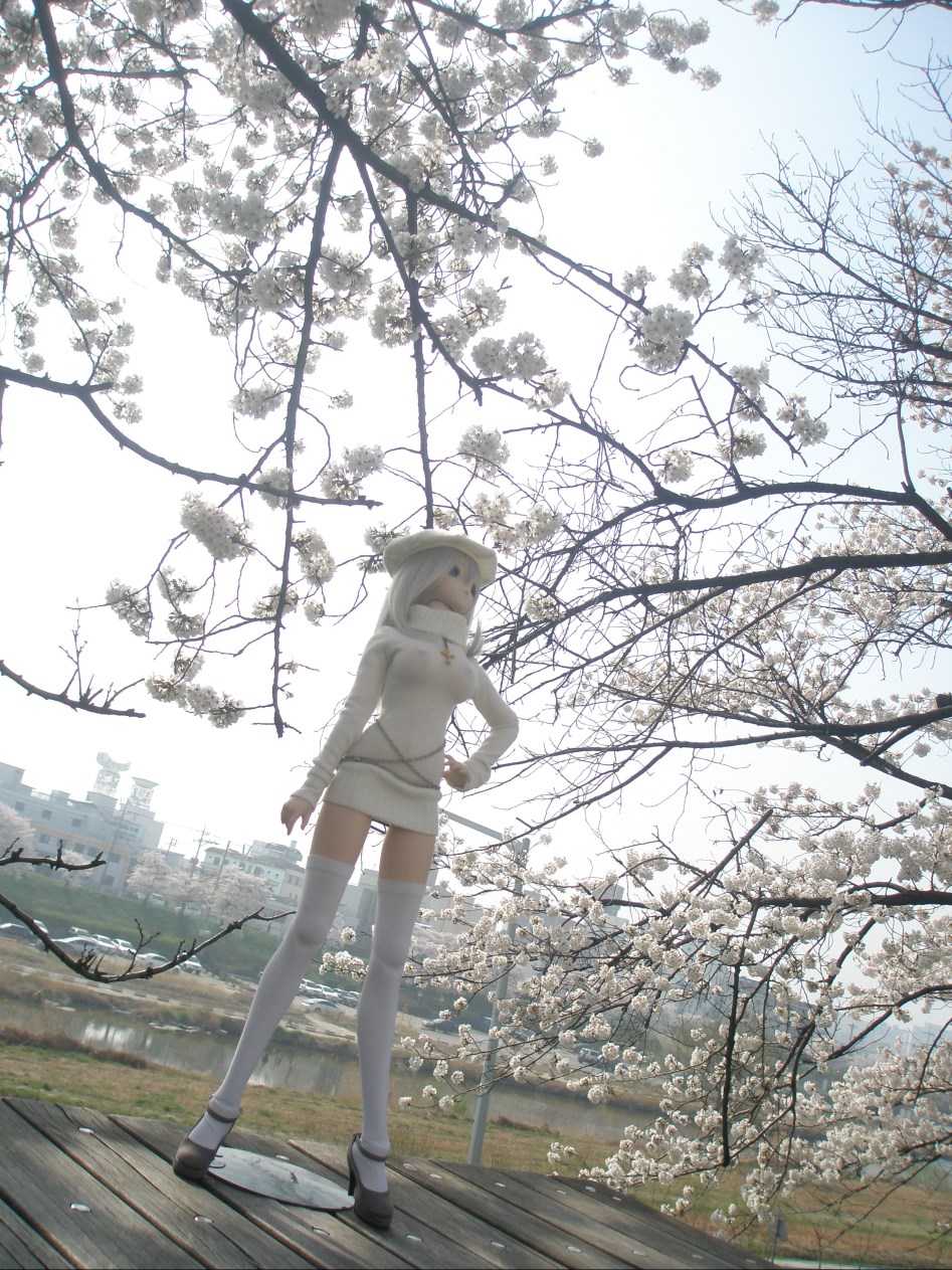 (스압주의)봄의 벗꽃출사 첫째 날 아리사_1.jpg