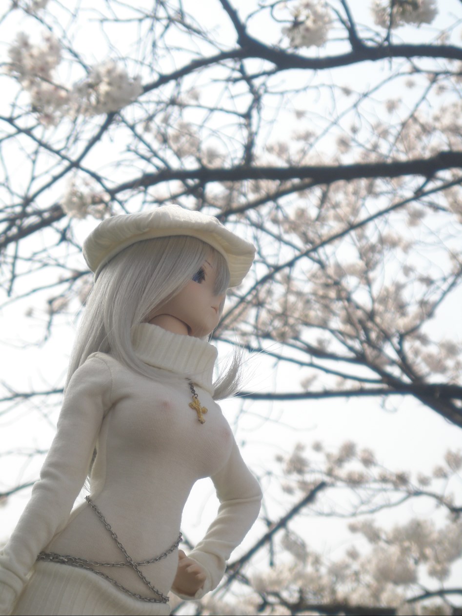 (스압주의)봄의 벗꽃출사 첫째 날 아리사_2.jpg