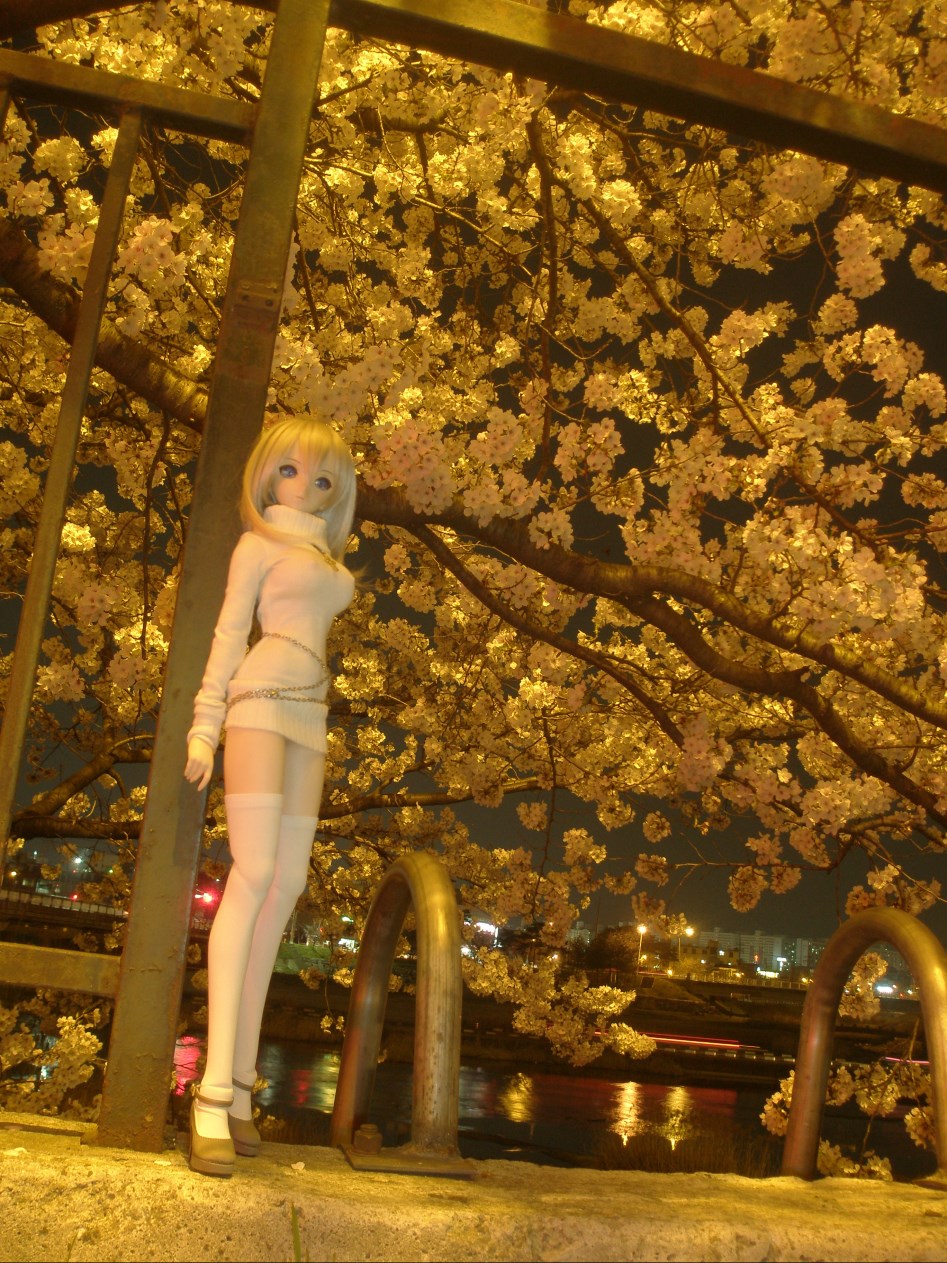 (스압주의)봄의 벗꽃출사 첫째 날 아리사_13.jpg